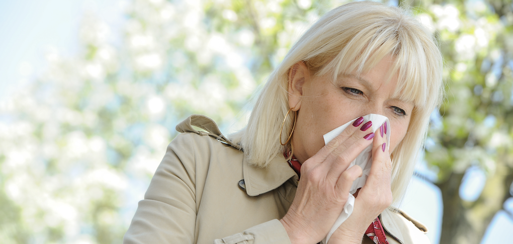 Hay Fever