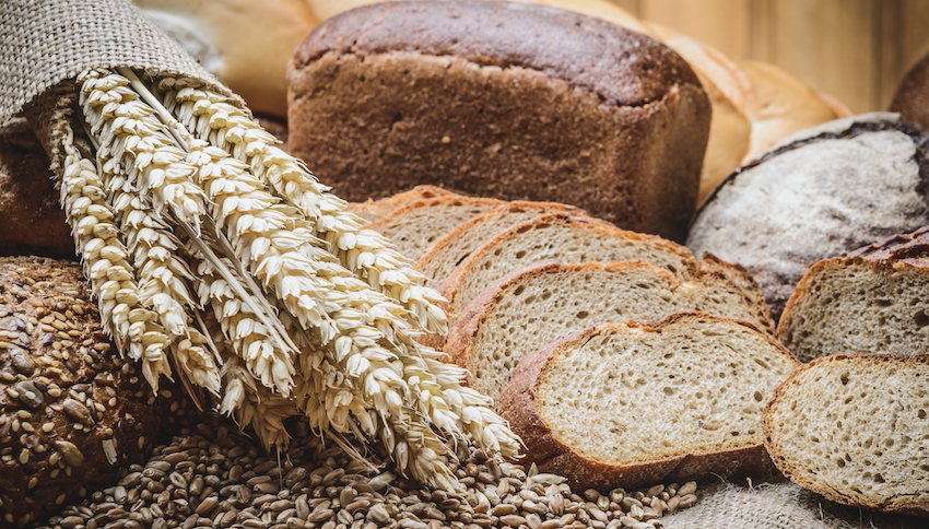 Wheat and Gluten Allergy