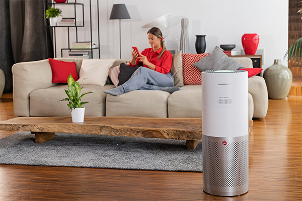 Hoover air purifier filters online