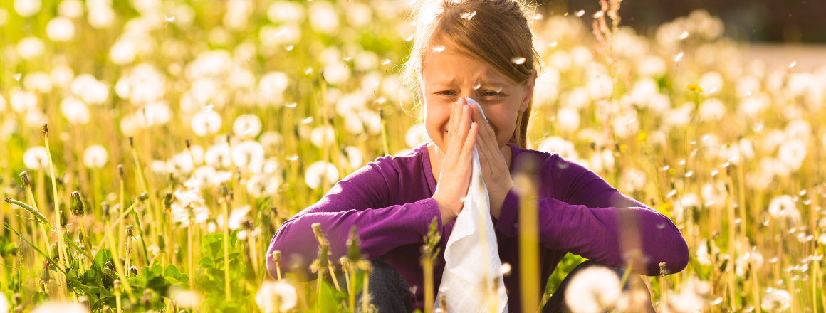 Hay Fever and Allergic Rhinitis