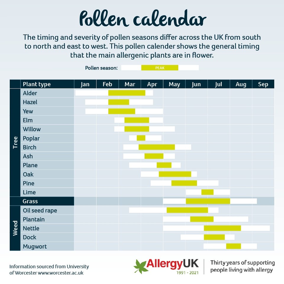 Weed Pollen Allergy UK National Charity weed-pollen-allergy-uk-national-charity