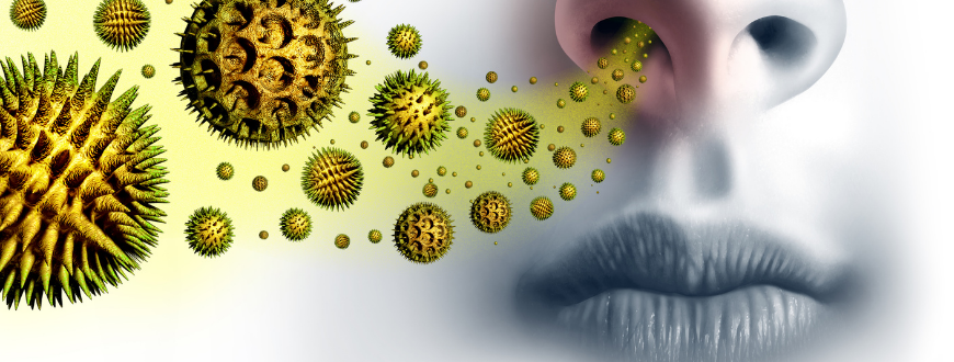 Managing hay fever symptoms during a high pollen count