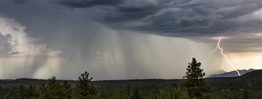 Thunderstorm Asthma