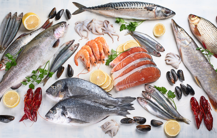 Fish, crustacean and mollusc allergy