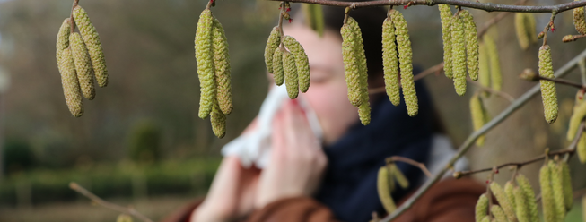 Tree pollen season is nearly here