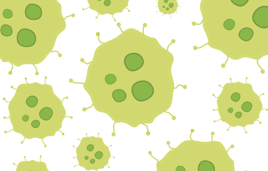 Mould allergy advice factsheet