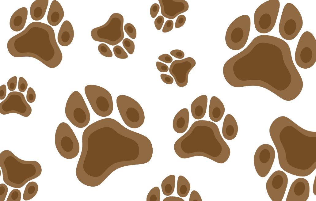 Pet allergy