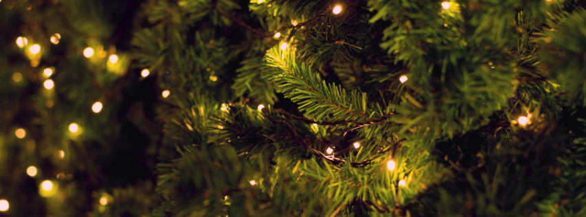 Could you be allergic to your Christmas Tree? 